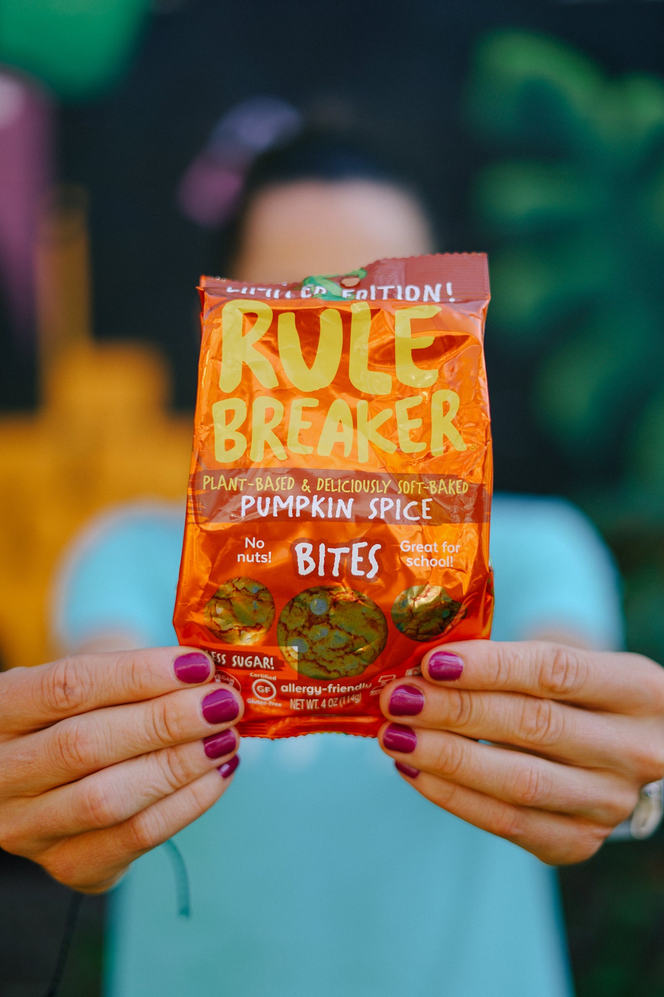 Rule Breaker Snacks Vegan Gluten Free Top 11 Allergen Free Pumpkin Spice Bites