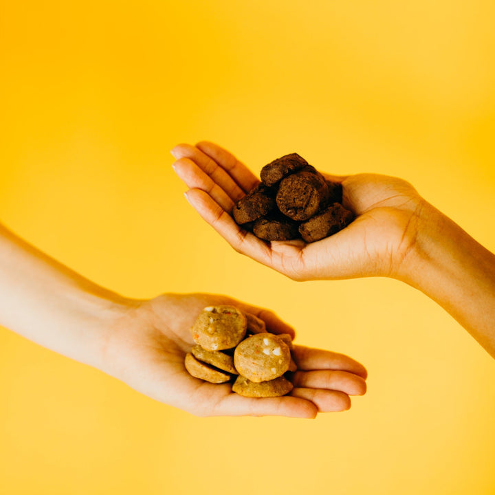 Rule Breaker Snacks Brownie and Blondie bites in hands